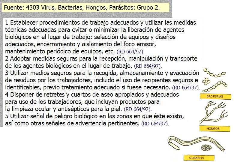 146 BACTERIAS GRUPO 2